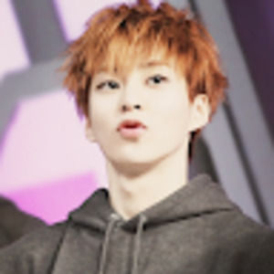 Meet your Posher, Lexi